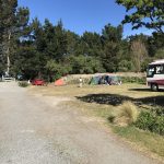 Campsites near the beach at Leithfield Beach Holiday Park in Canterbury